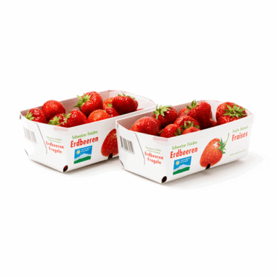 Canastillas para Frutas