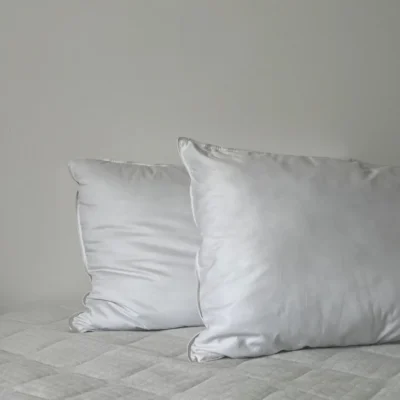Almohada Plumas
